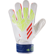 adidas Predator Training