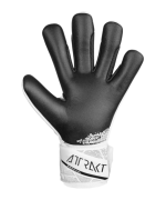 reusch Attrakt Freegel Silver Shine Bright