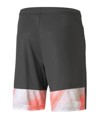 PUMA individualCUP Şort Gri