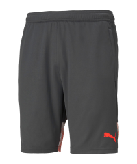 PUMA individualCUP Şort Gri